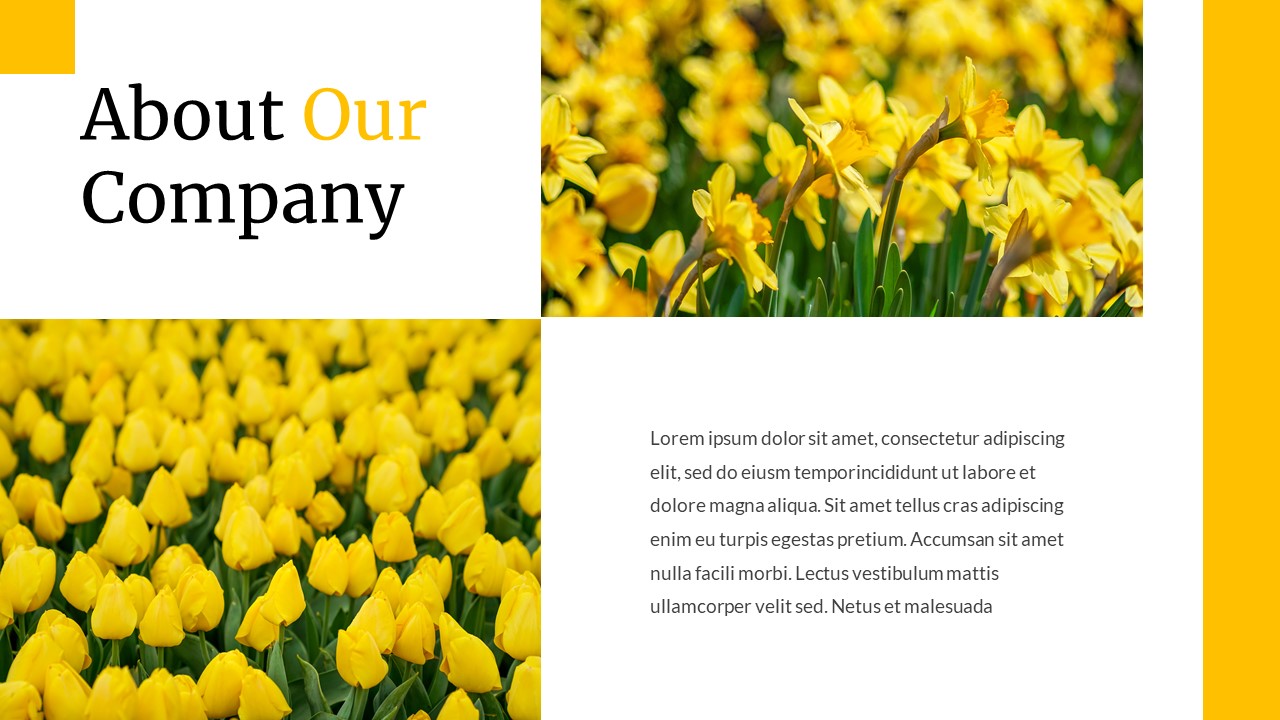 YELLOW GARDEN google slide Template by Allamrachman51 GraphicRiver